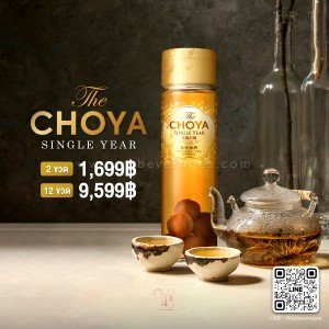CHOYA SINGLE YEAR เหล้าบ๊วยแสนอร่อยตัวดังจากญี่ปุ่น ราคาถูกที่สุด!