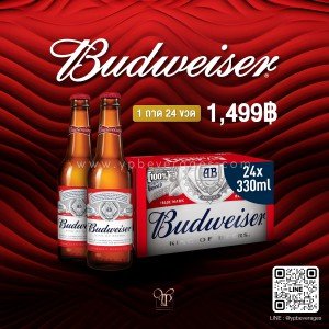 Budweiser เบียร์บัดไวเซอร์ พร้อมส่งทันที! ราคาพิเศษ
