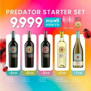 PREDATOR STARTER SET  ไวน์เต่าทอง